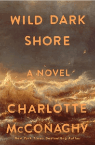Cover of the novel 'Shore' by Charlotte featuring an abstract ocean wave.