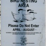 Bird Nesting Area flyer on the website