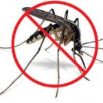No Mosquito sign on the website