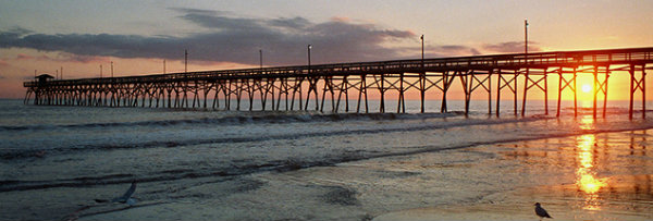 A Bridge, Sun, Ocean, and a Couple of Birds